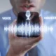 Voice Search Optimization: Preparing Your Brand for the Conversational Web